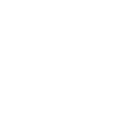 brand kaiser