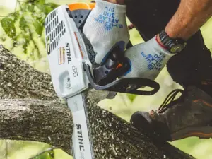 STIHL ΒΕΝΖΙΝΟΚΙΝΗΤΟ ΑΛΥΣΟΠΡΙΟΝΟ MS 194 T ΑΛΥΣΟΠΡΙΟΝΑ ΒΕΝΖΙΝΗΣ STIHL ΑΛΥΣ/ΝΟ MS 194Τ