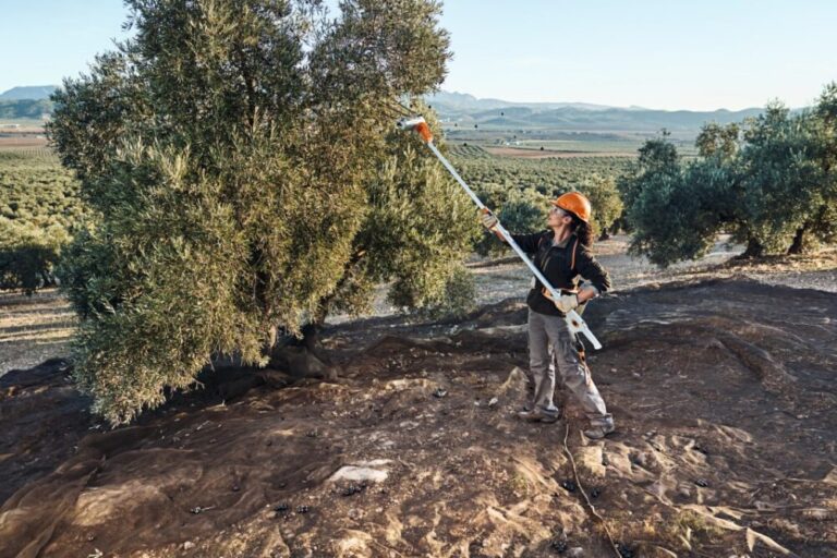 SPA 140 STIHL χωρίς μπαταρία και φορτιστή ΕΛΑΙΟΡΑΒΔΙΣΤΙΚΑ ΜΠΑΤΑΡΙΑΣ SPA 140 STIHL χωρίς μπαταρία και φορτιστή ΕΛΑΙΟΡΑΒΔΙΣΤΙΚΑ ΜΠΑΤΑΡΙΑΣ