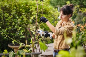 STIHL ΨΑΛΙΔΙ ΜΠΑΤΑΡΙΑΣ ASA 20 SET VA050116210 ΨΑΛΙΔΙΑ ΚΛΑΔΕΥΤΙΚΑ-ΚΟΠΤΙΚΑ ΜΠΑΤΑΡΙΑΣ Το STIHL ΨΑΛΙΔΙ κλαδέματος ASA 20 είναι η ιδανική επιλογή για άνετη και ακριβή κοπή κλαδιών έως 25 mm.